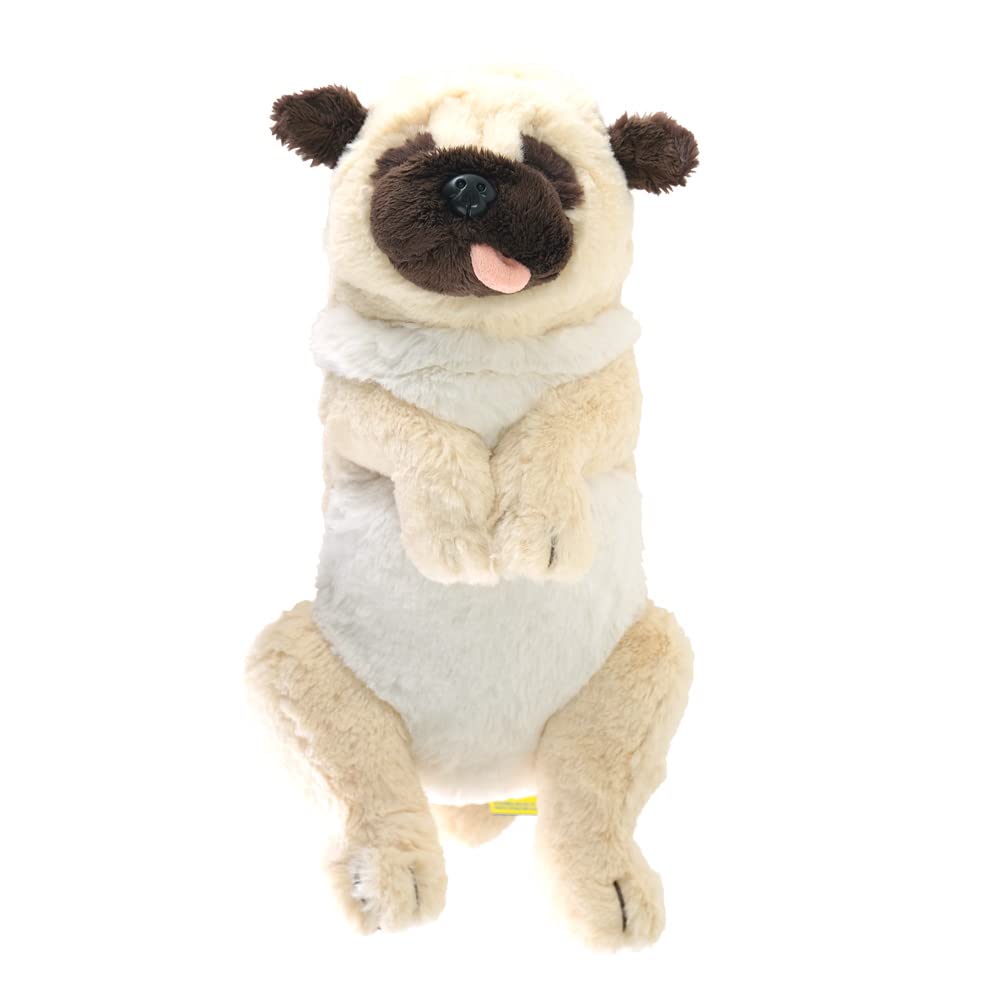 Sun Lemon Lapdog Pug P-8382