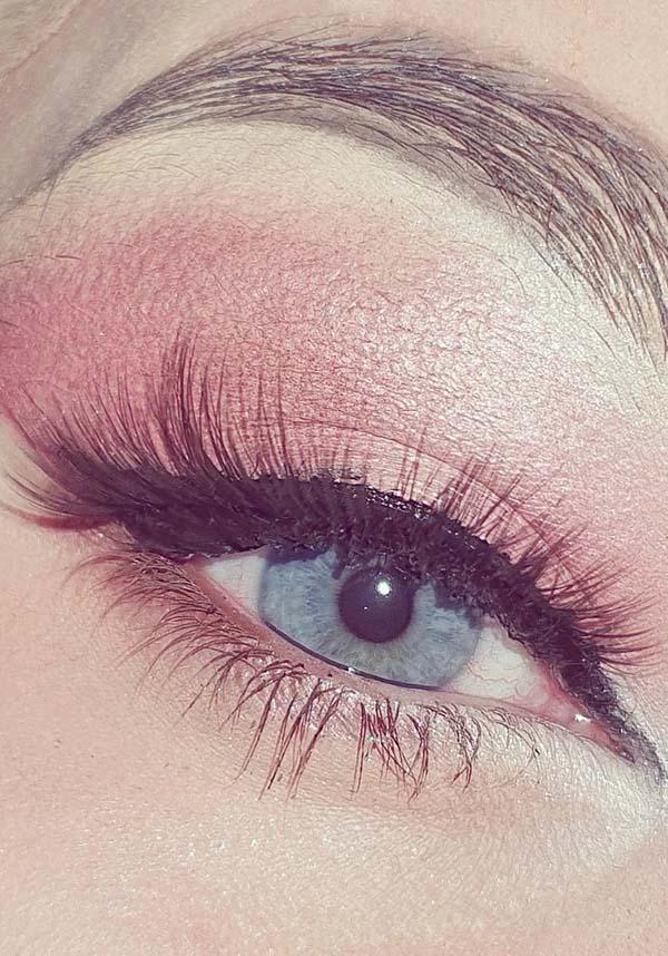 Lashes Of A Killer | MAGNETIC LASHES